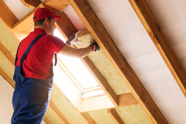 Trusted Coyne Center, IL Insulation Experts